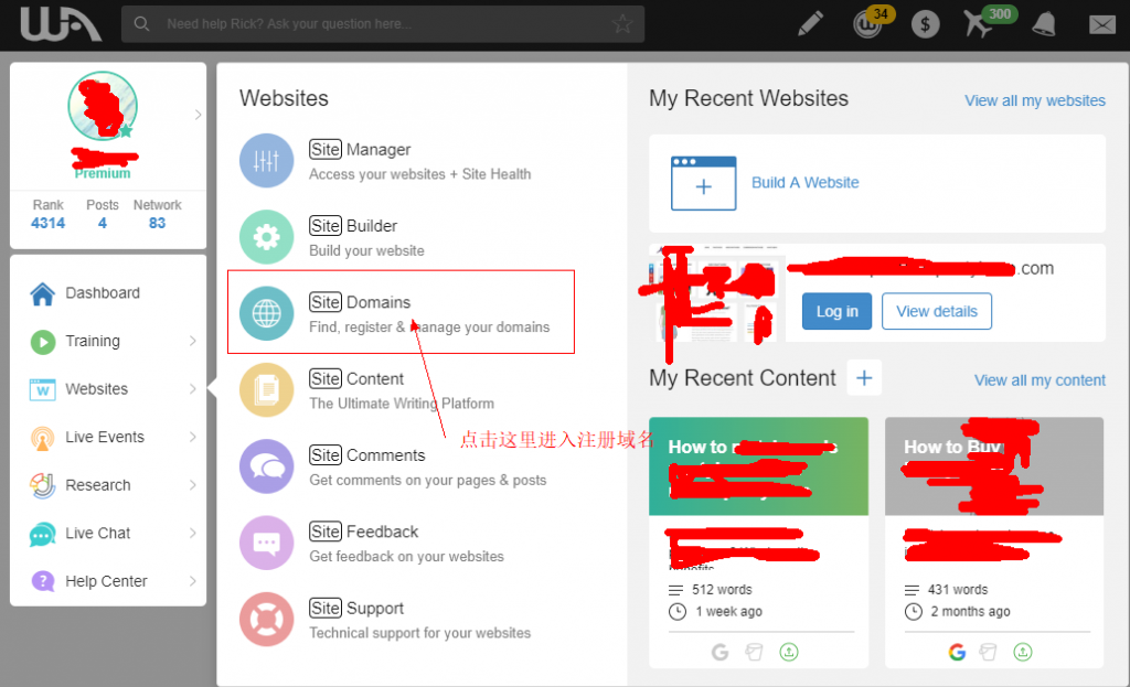 怎样在Wealthy Affiliate上注册域名